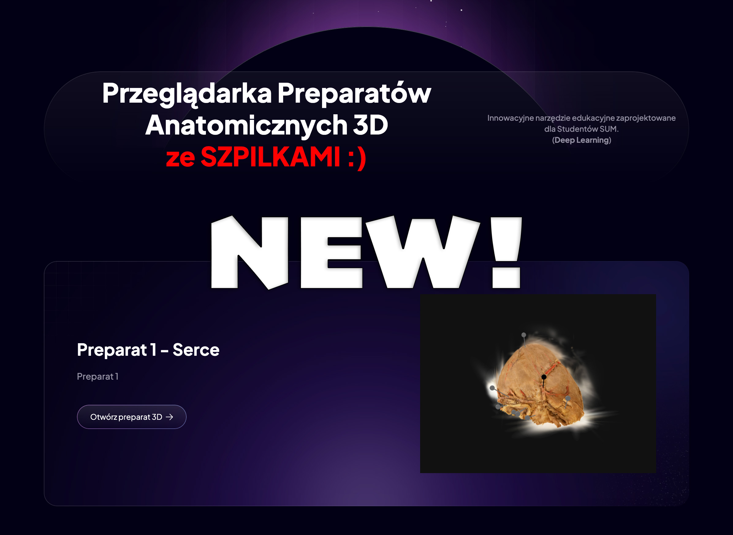 Preparaty Anatomiczne 3D - SZPILKI